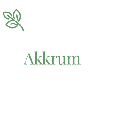 logo-leenhuys-akkrum-500-foote
