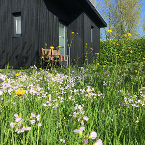 grid-lente-bloemen-1200