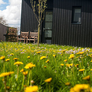 grid-vierkant-entree-lente-600