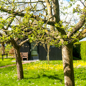leenhuys-akkrum-natuur-lente-6