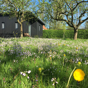 leenhuys-akkrum-vakantiehuis-n